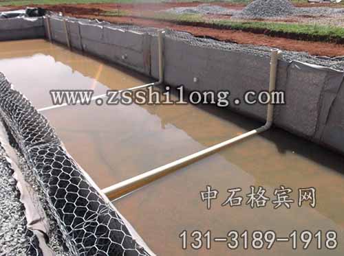 zsshilong24.jpg zsshilong24.jpg