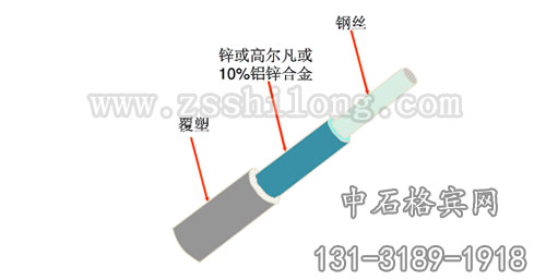 zsshilong31.jpg zsshilong31.jpg