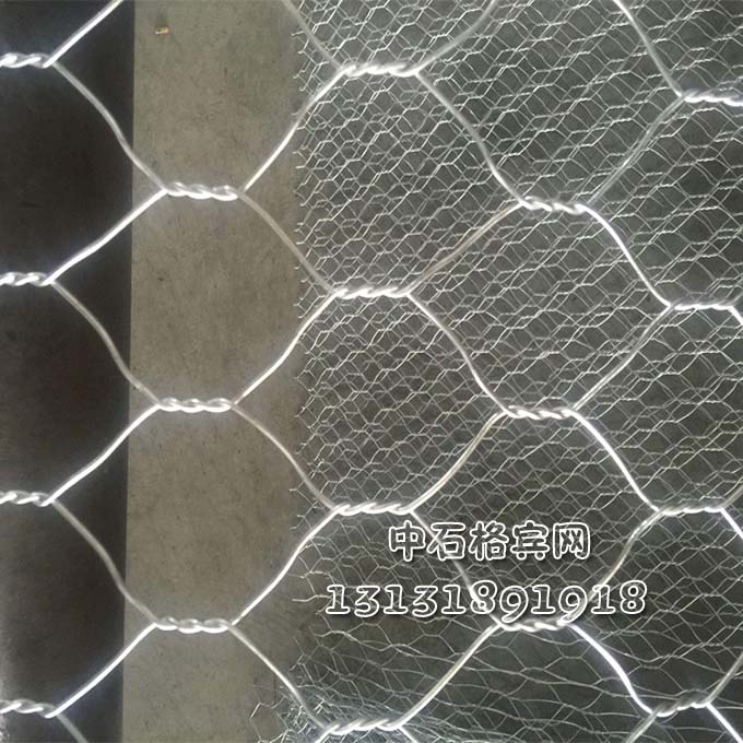 鍍鋅賓格網(wǎng)廠家報價13131891918 鍍鋅賓格網(wǎng)廠家報價13131891918